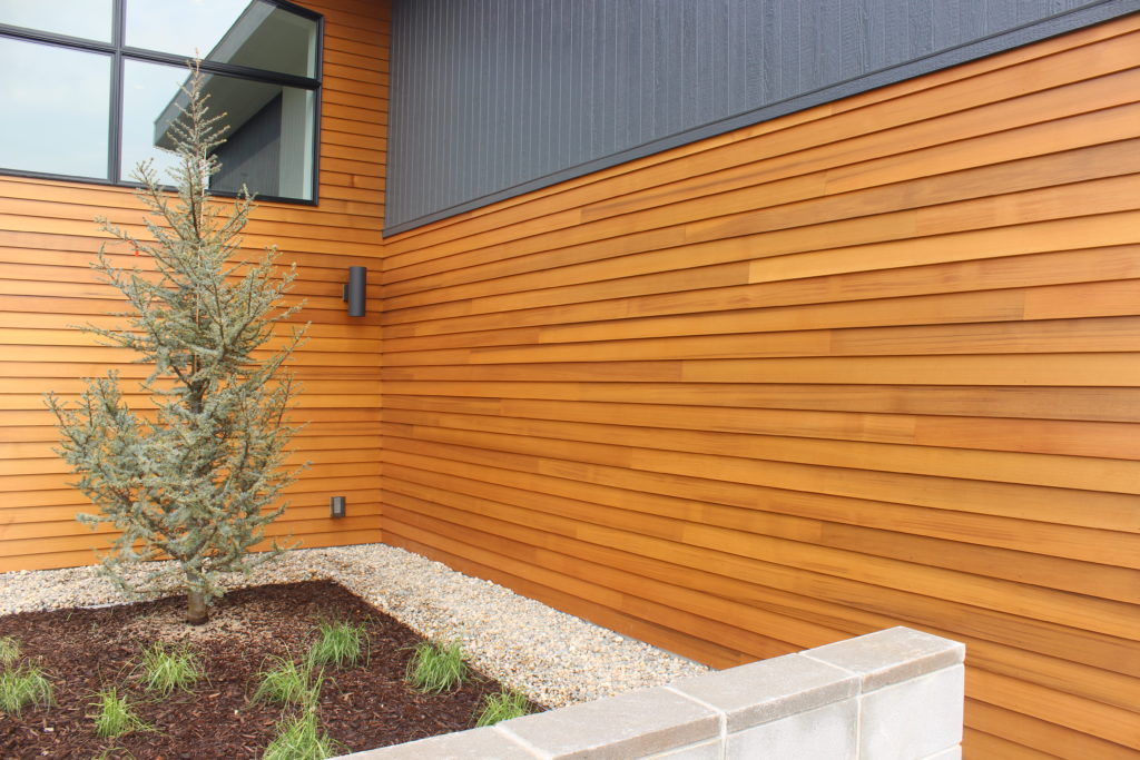 Cedar Siding