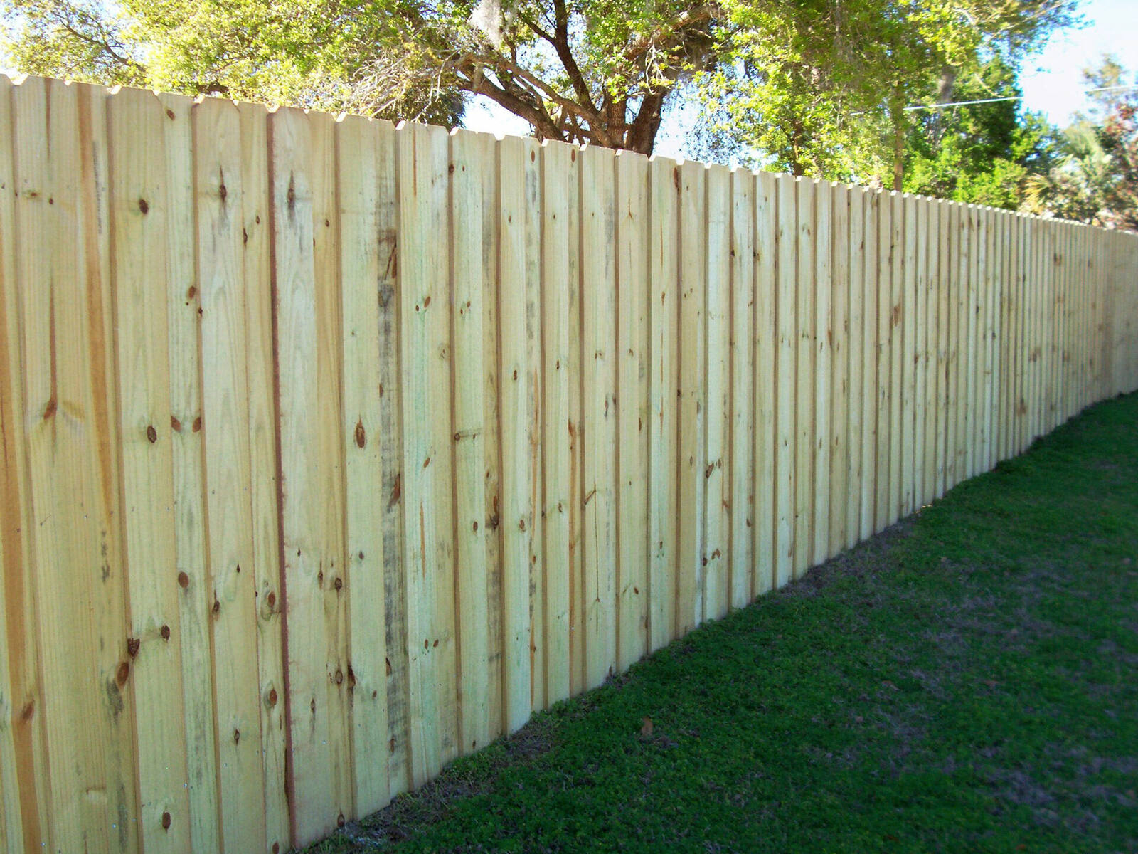 Cedar Fences in Sacramento project planning